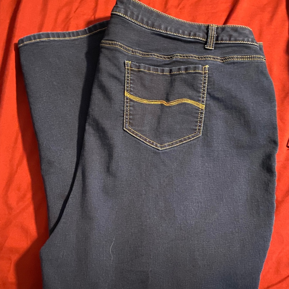 Lane Bryant Jeggings size 28 like new